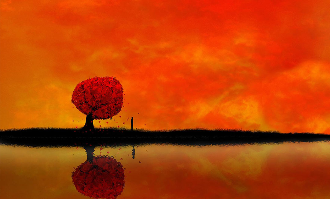 德宏笙影微信朋友圈转发案例